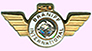 Braniff 20-year Service Pin