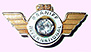 Braniff 25-year Service Pin