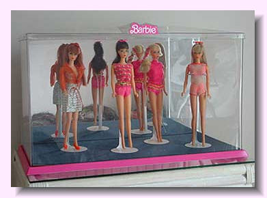 Mattel Display Case